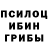 Галлюциногенные грибы Psilocybe Hayarpi Buniatyan