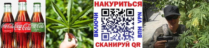Купить закладки  Миасс  Cannafood конопля 