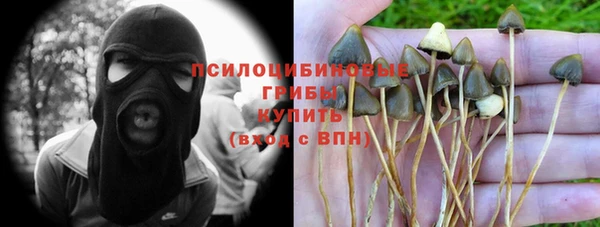 стафф Зеленокумск