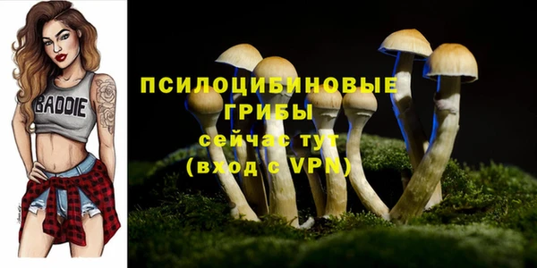трава Заводоуковск