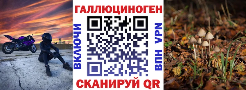 Купить где  Миасс  Псилоцибиновые грибы GOLDEN TEACHER 
